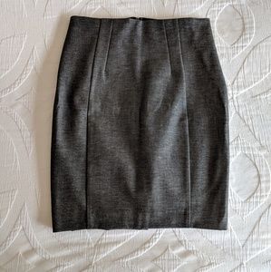 Express Pencil Skirt
